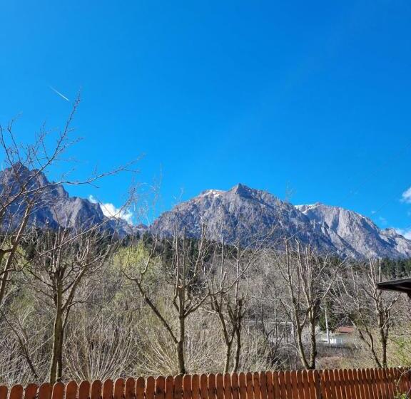 膳宿费 Vila Roxana Busteni