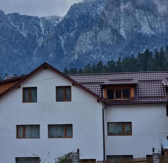 膳宿费 Vila Roxana Busteni