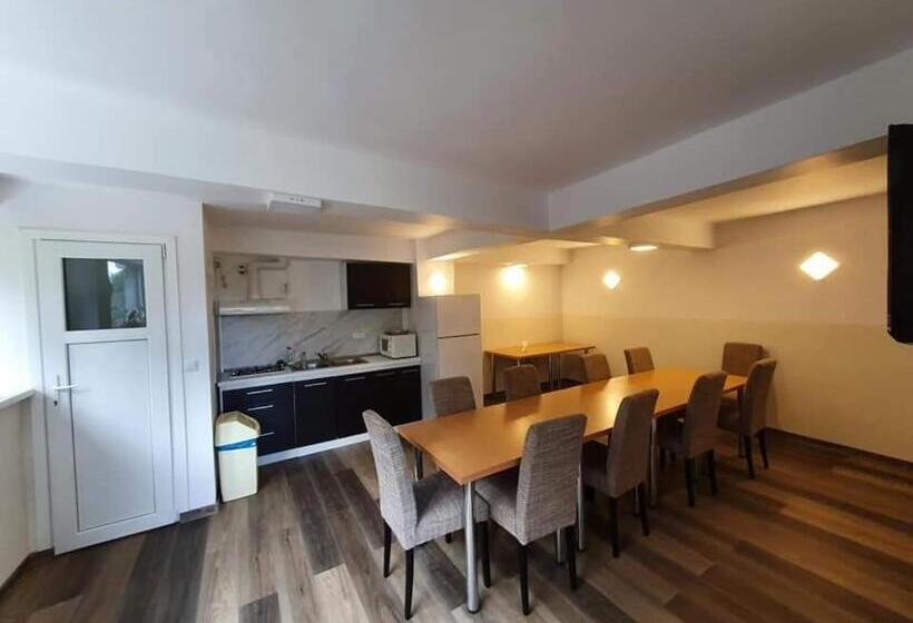 膳宿费 Vila Roxana Busteni