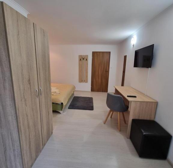 膳宿费 Vila Roxana Busteni