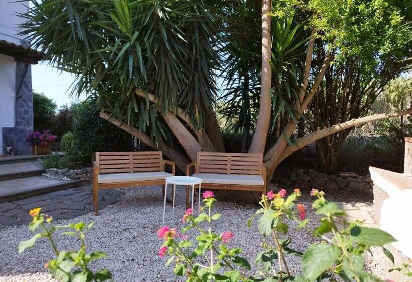 تختخواب و صبحانه La Domus Di Cosa