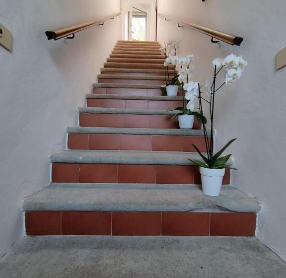 تختخواب و صبحانه La Domus Di Cosa