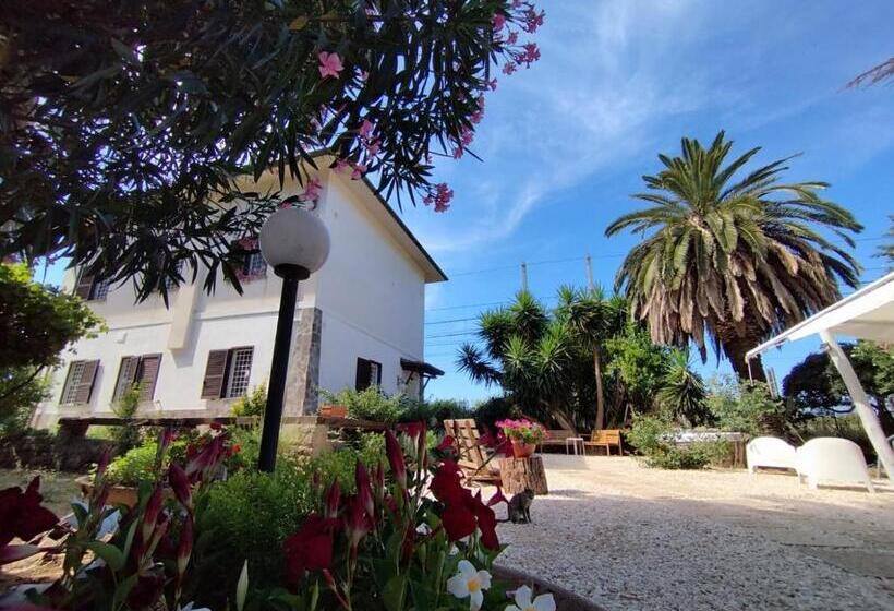 تختخواب و صبحانه La Domus Di Cosa