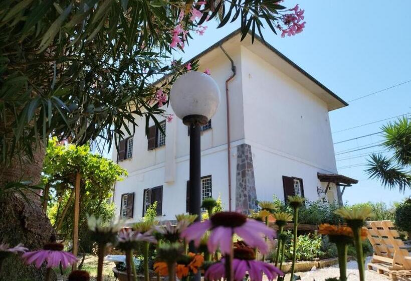 تختخواب و صبحانه La Domus Di Cosa