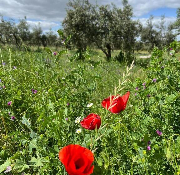 צימר Quinta Monte Da Azinheira