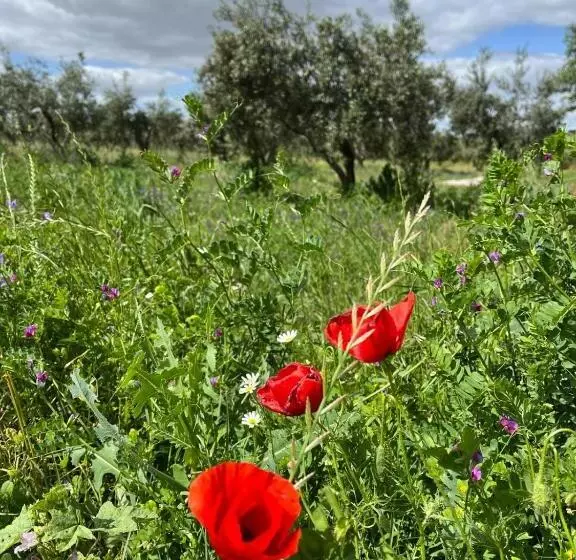 تختخواب و صبحانه Quinta Monte Da Azinheira