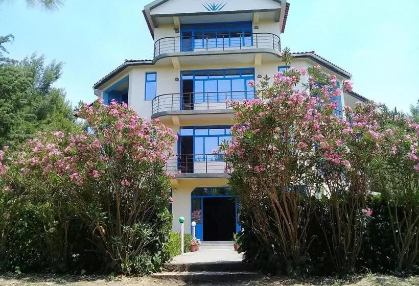 ホテル Divjaka Park