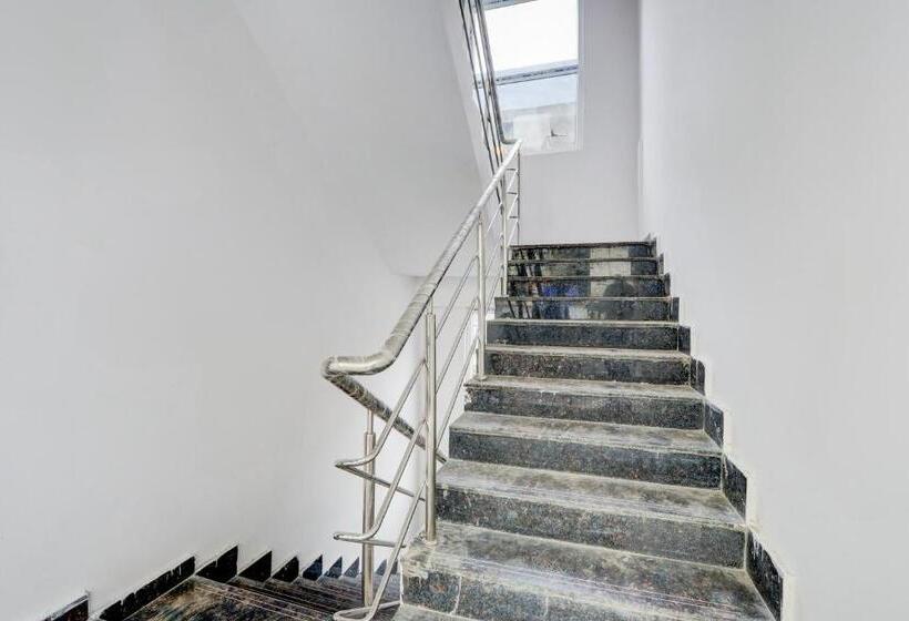 Super Hotel O Living Tree In