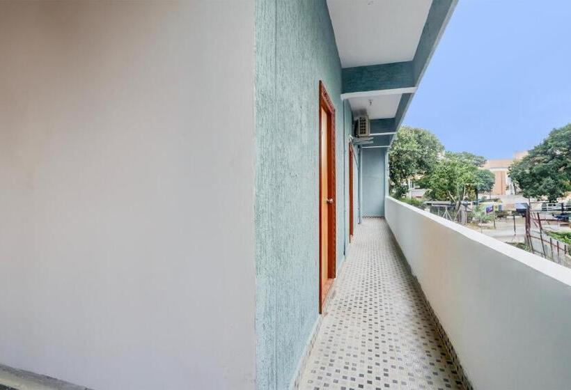 Super Hotel O Living Tree In