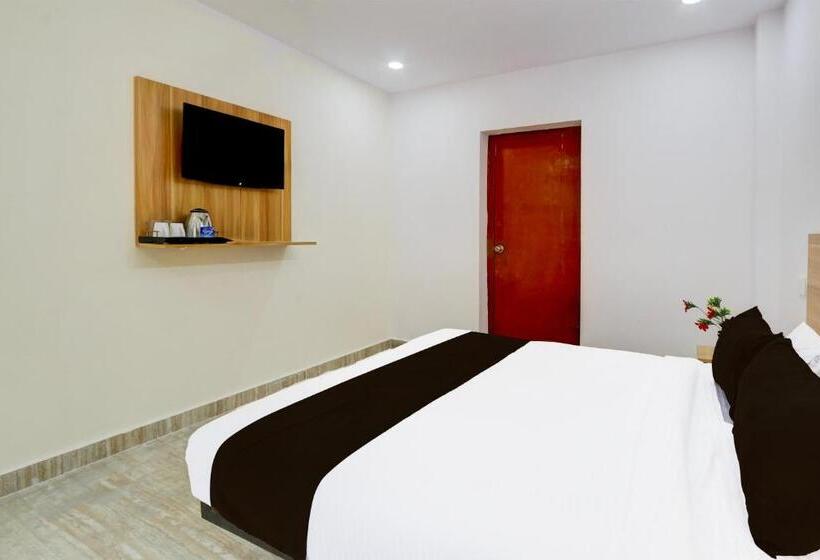 Super Hotel O Living Tree In