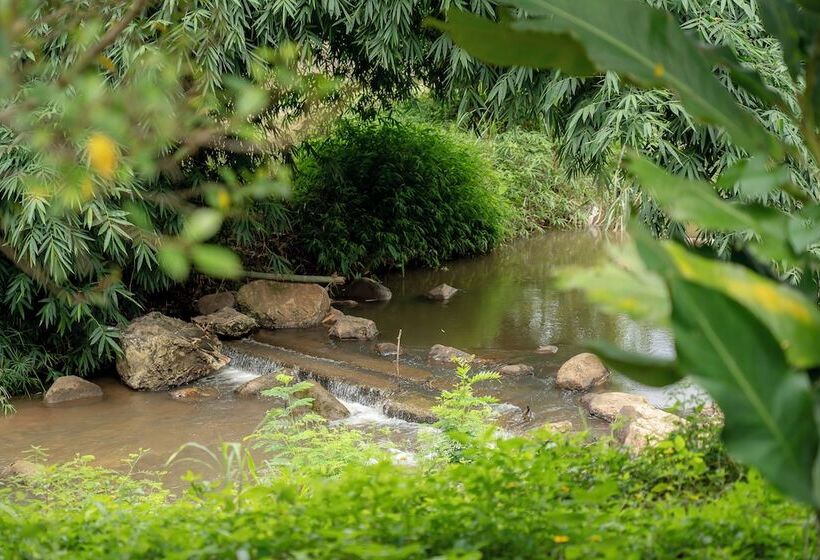 Hotel Sirin Farm Chiang Rai