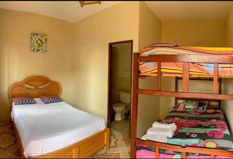 膳宿费 Alan Hostal Tigrillo