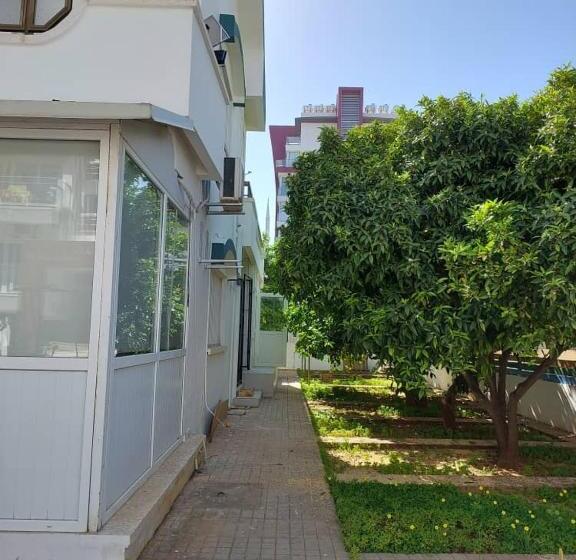 ペンション Green Island