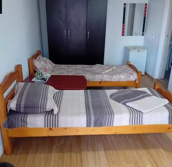 پانسیون Lebada Neagră