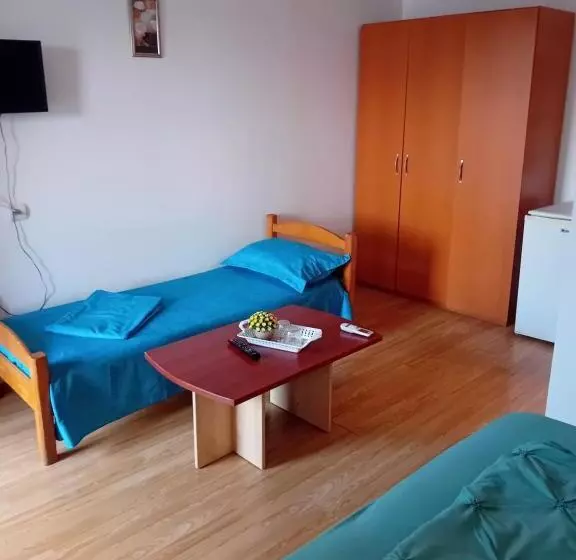 پانسیون Lebada Neagră