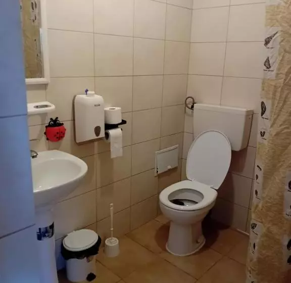 پانسیون Lebada Neagră