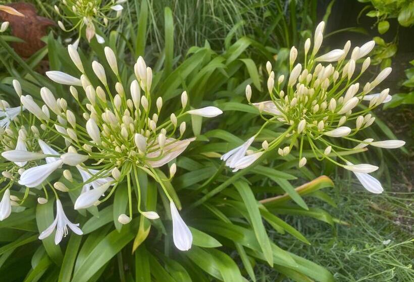 Bed and Breakfast Le 5 Bis