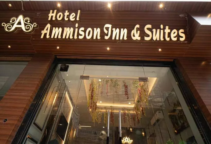 هتل Ammison Inn & Suites