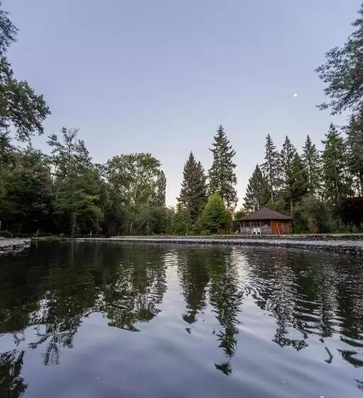 Hotelli Parque Chillan   Caja Los Héroes