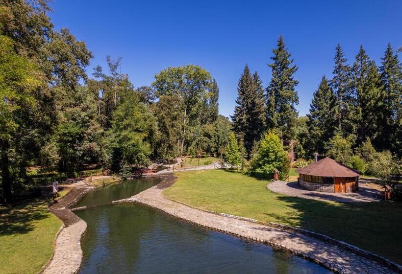 Hotel Parque Chillan   Caja Los Héroes