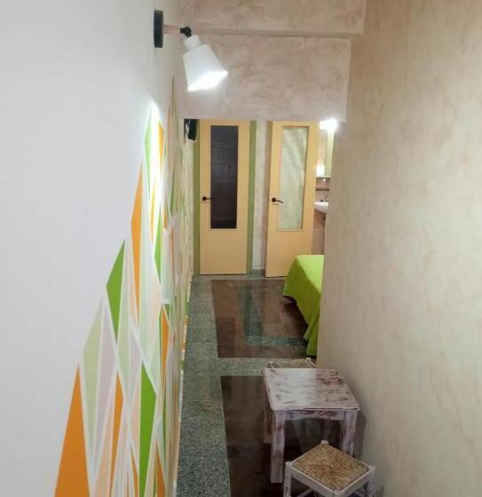 پانسیون Orkan