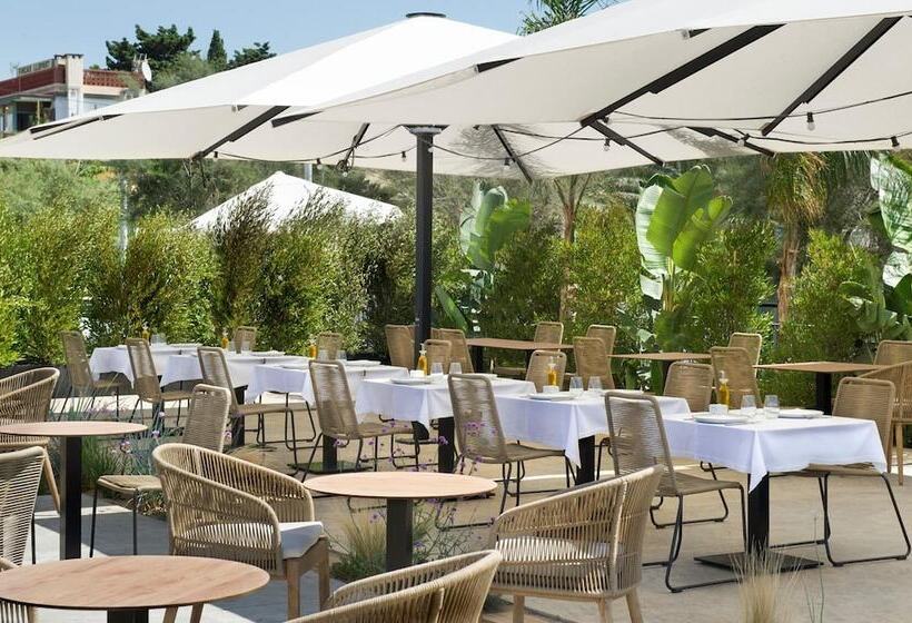 酒店 Boutique Donna 4 Superior