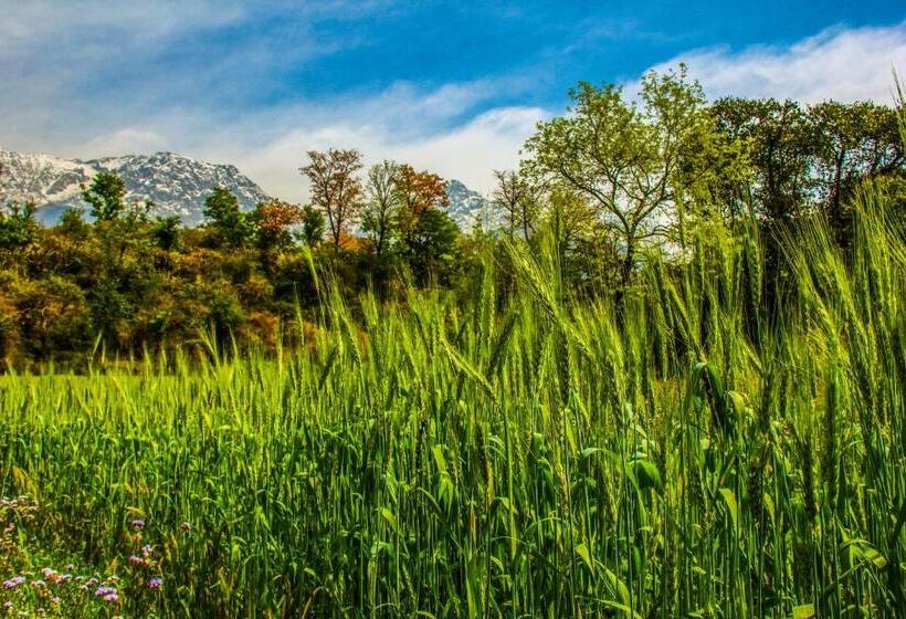 Prakriti Aalay   Riverside Mountain View Boutique Eco Resort