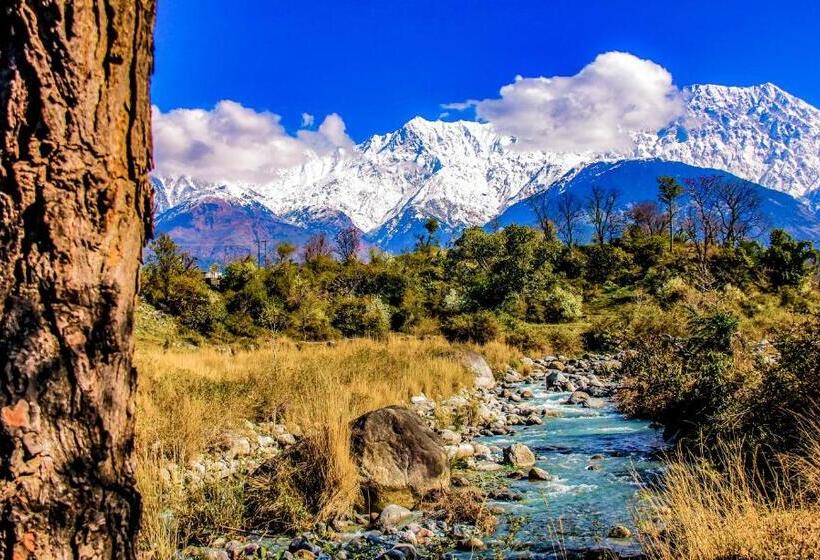 Prakriti Aalay   Riverside Mountain View Boutique Eco Resort