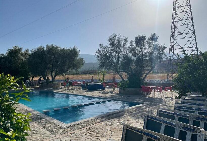 호스텔 Auberge Alwahabi