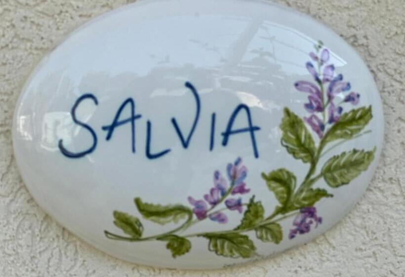 مبيت وإفطار Luna D Argento