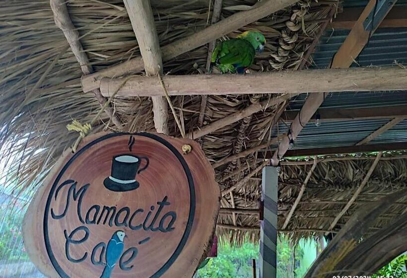 هتل کپسول Mama Cita Café House