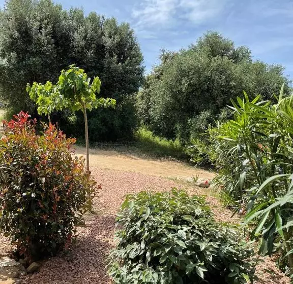 Majatalo Résidence Patios Di Pruno