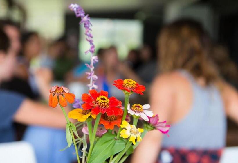 渡假胜地  Byron Yoga Centre