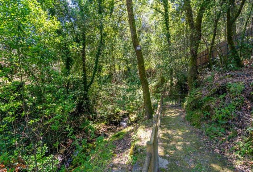 استراحتگاه Moinhos Do Côto