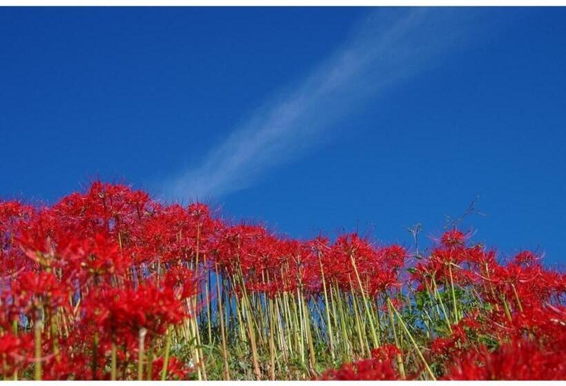 호텔 Ryoso Chatani Vacation Stay 43122v