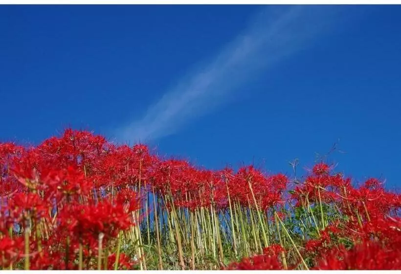 ホテル Ryoso Chatani   Vacation Stay 43122v