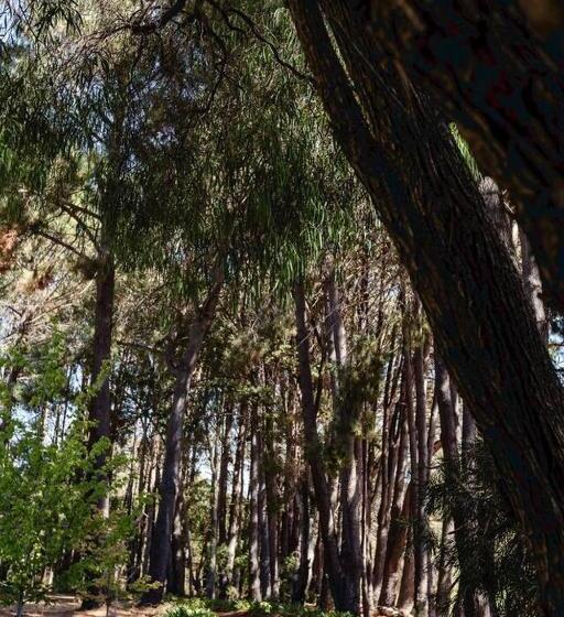 هتل The Farmhouse