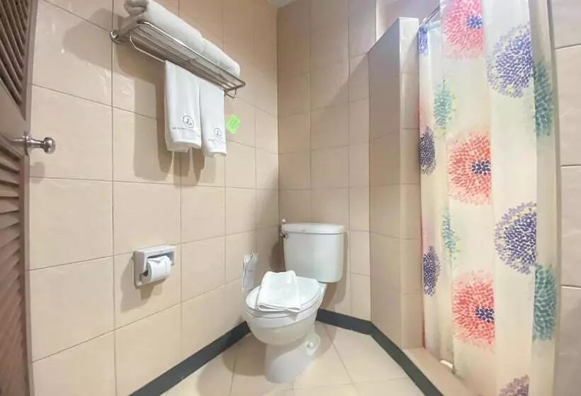 هتل The Ligor City