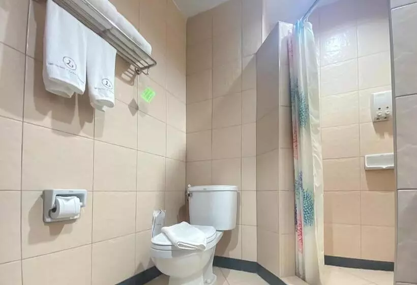 هتل The Ligor City