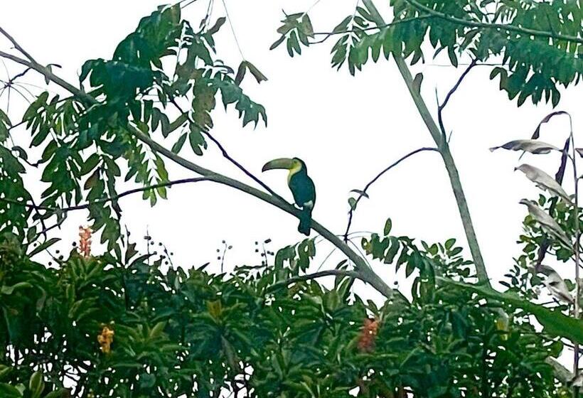 ホテル Tierra De Volcanes