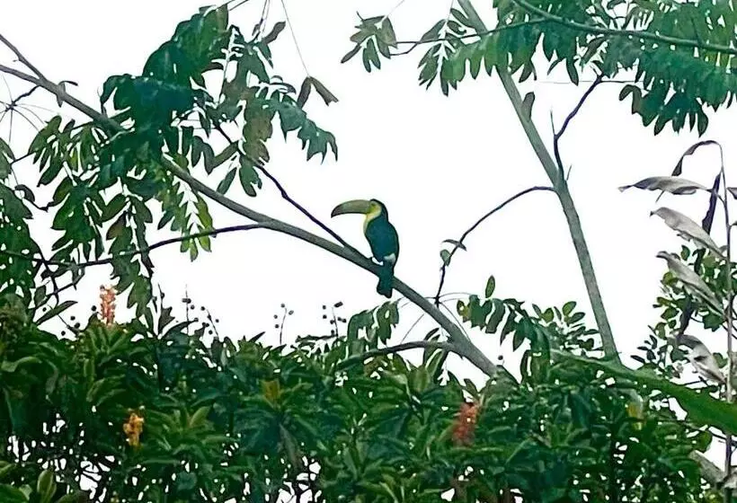 Hotelli Tierra De Volcanes