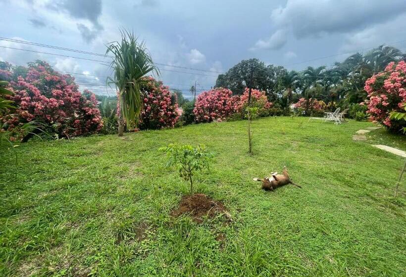 ホテル Tierra De Volcanes