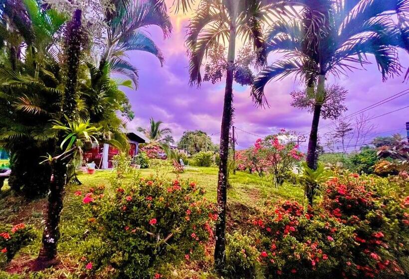 ホテル Tierra De Volcanes