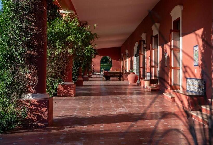 リゾートホテル Boutique Estancia La Loma