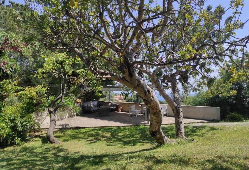 هاستل Ca La Michele