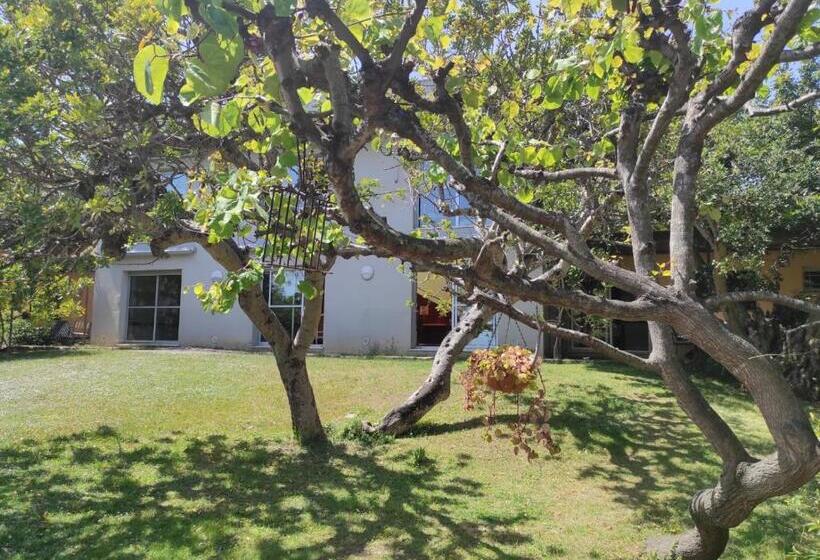 هاستل Ca La Michele