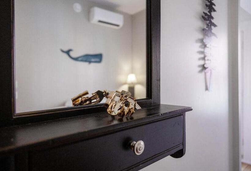 ユースホステル Ships Inn