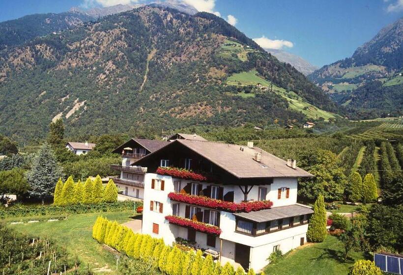 住宿加早餐  Pföstlhof