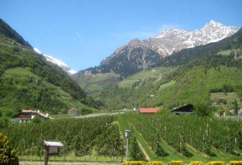 住宿加早餐  Pföstlhof