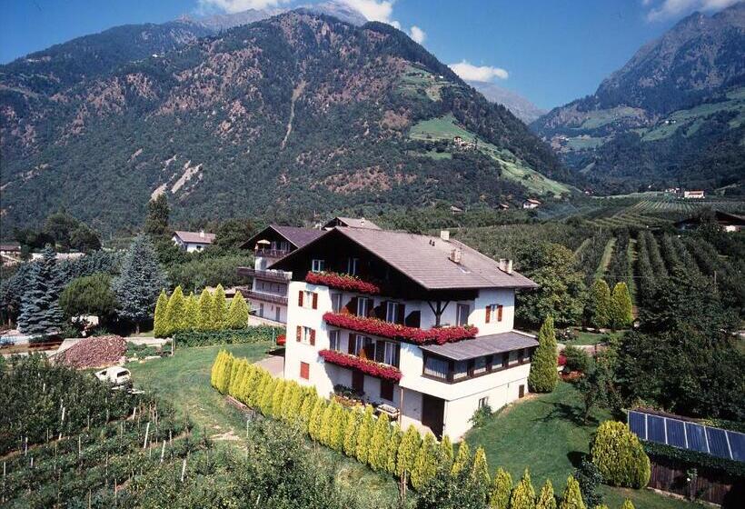 住宿加早餐  Pföstlhof